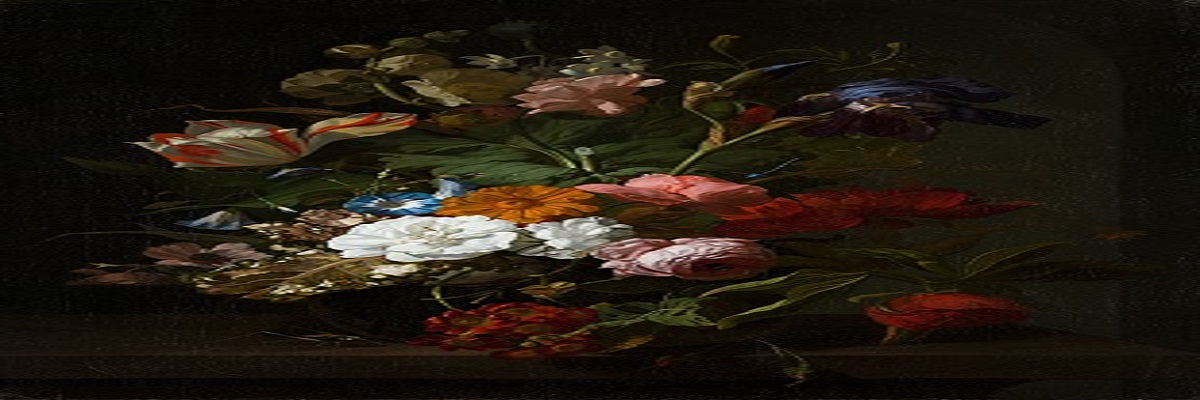Europeana 3