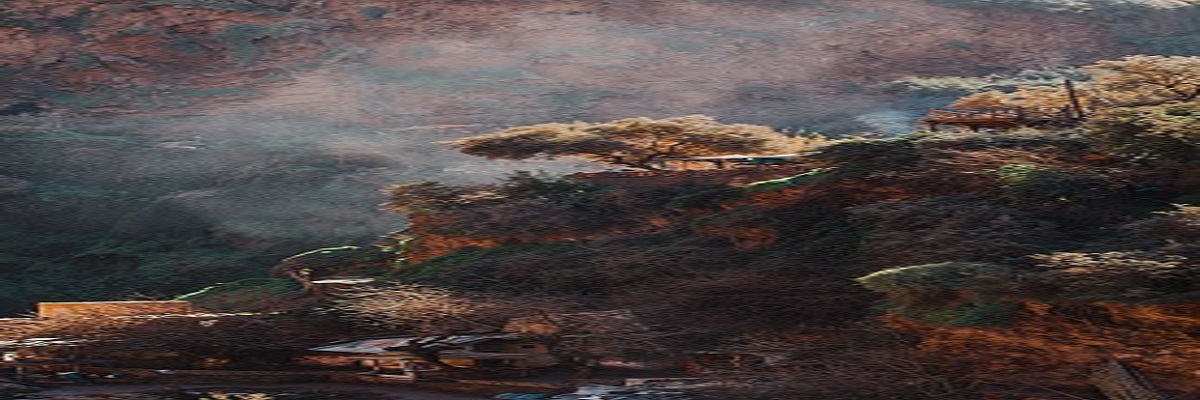 tamara-menzi-n